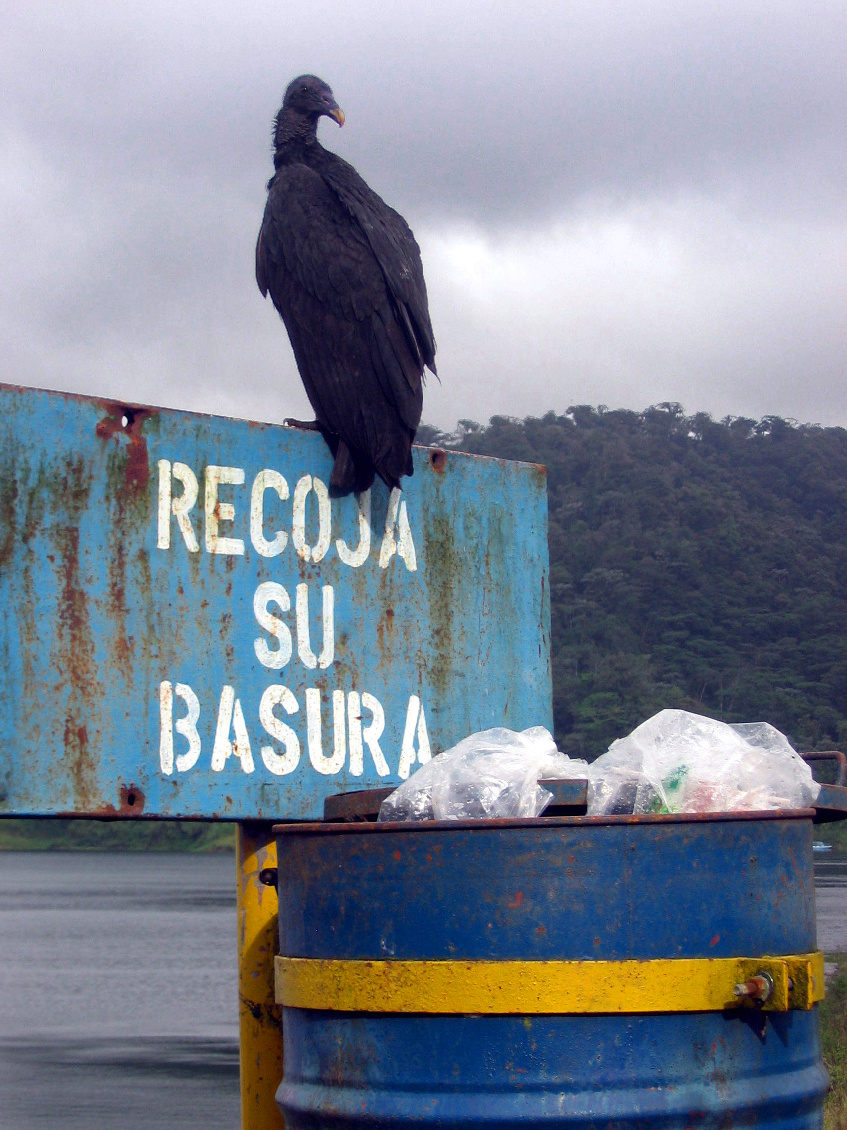 vuilnis meenemen aub