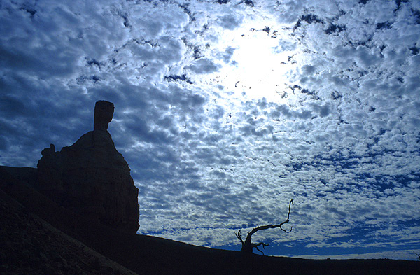 zie de maan schijnt...