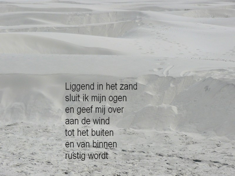 Het strand van Schiermonnikoog