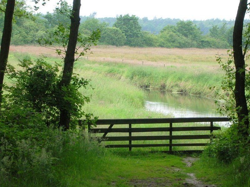 Drentse A in voorjaarsgroen