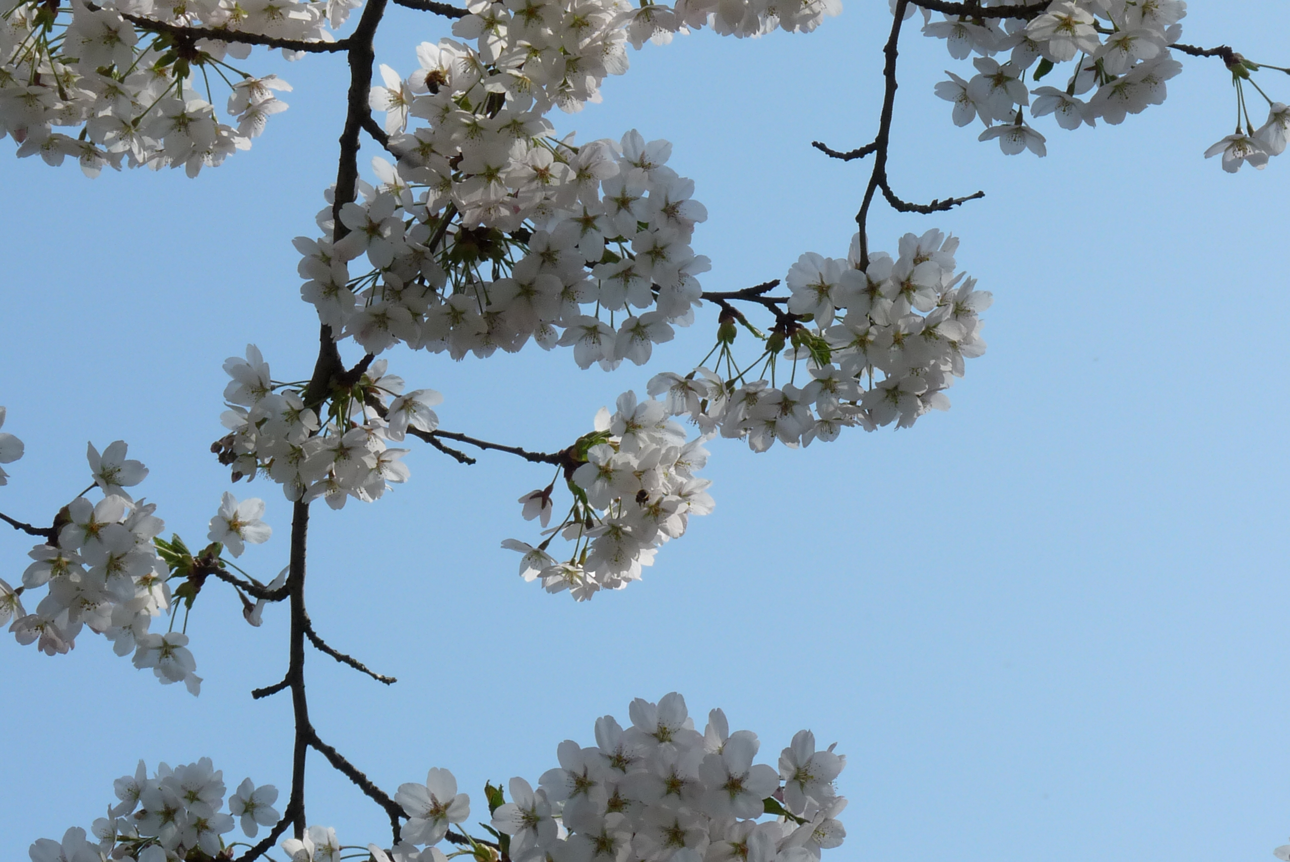 Lente!!!!!!!!!!!