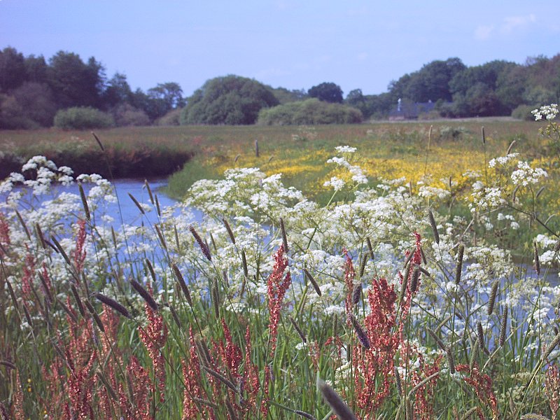 langs de oever van de Drentse A