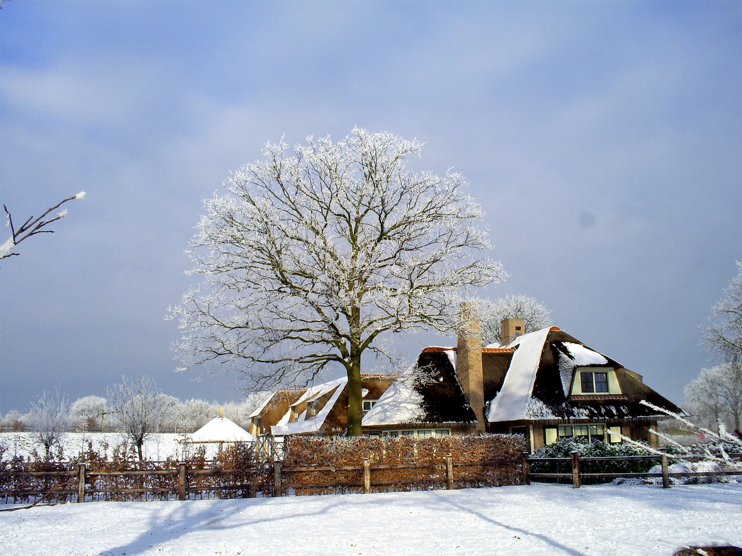 Winterlandschap