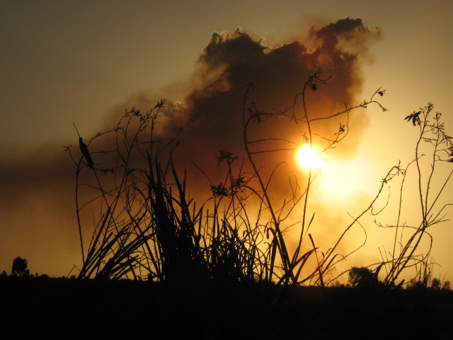 Zonsondergang Australië 