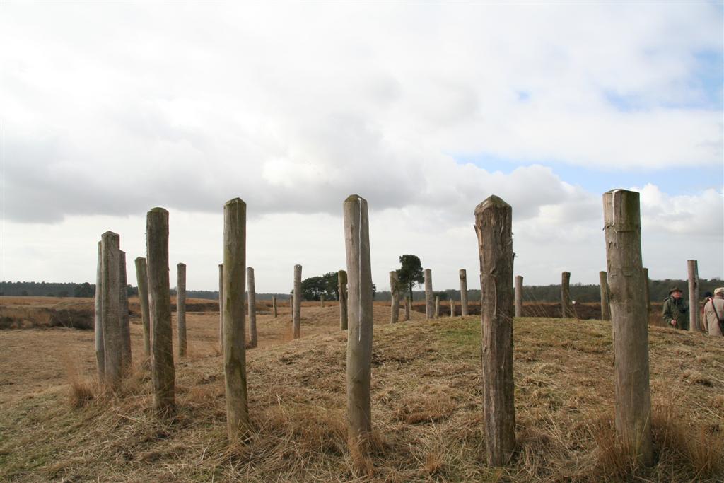 grafheuvel op de regte hei