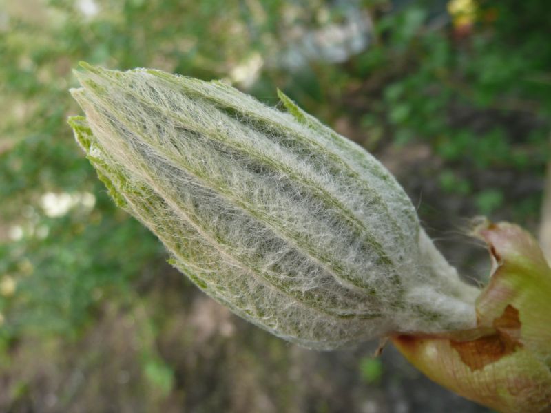 wat komt hier straks uit?