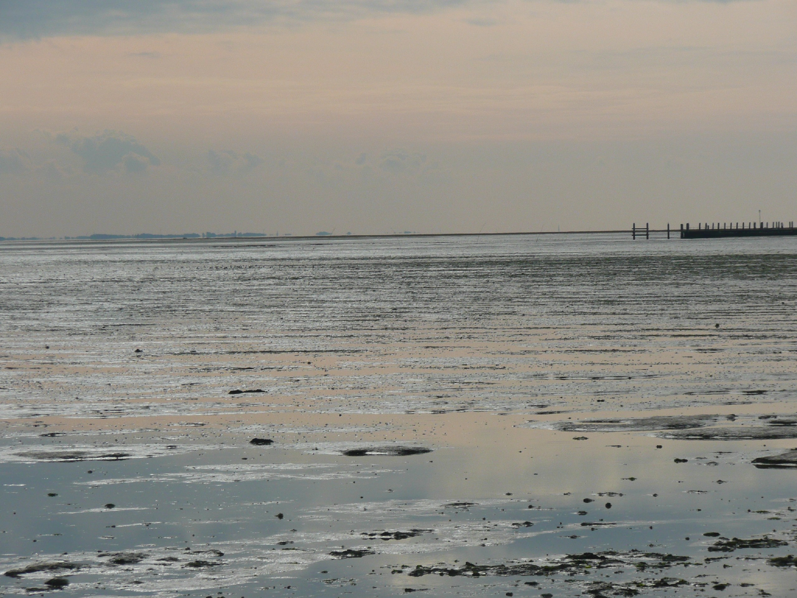 Schoonheid van het wad