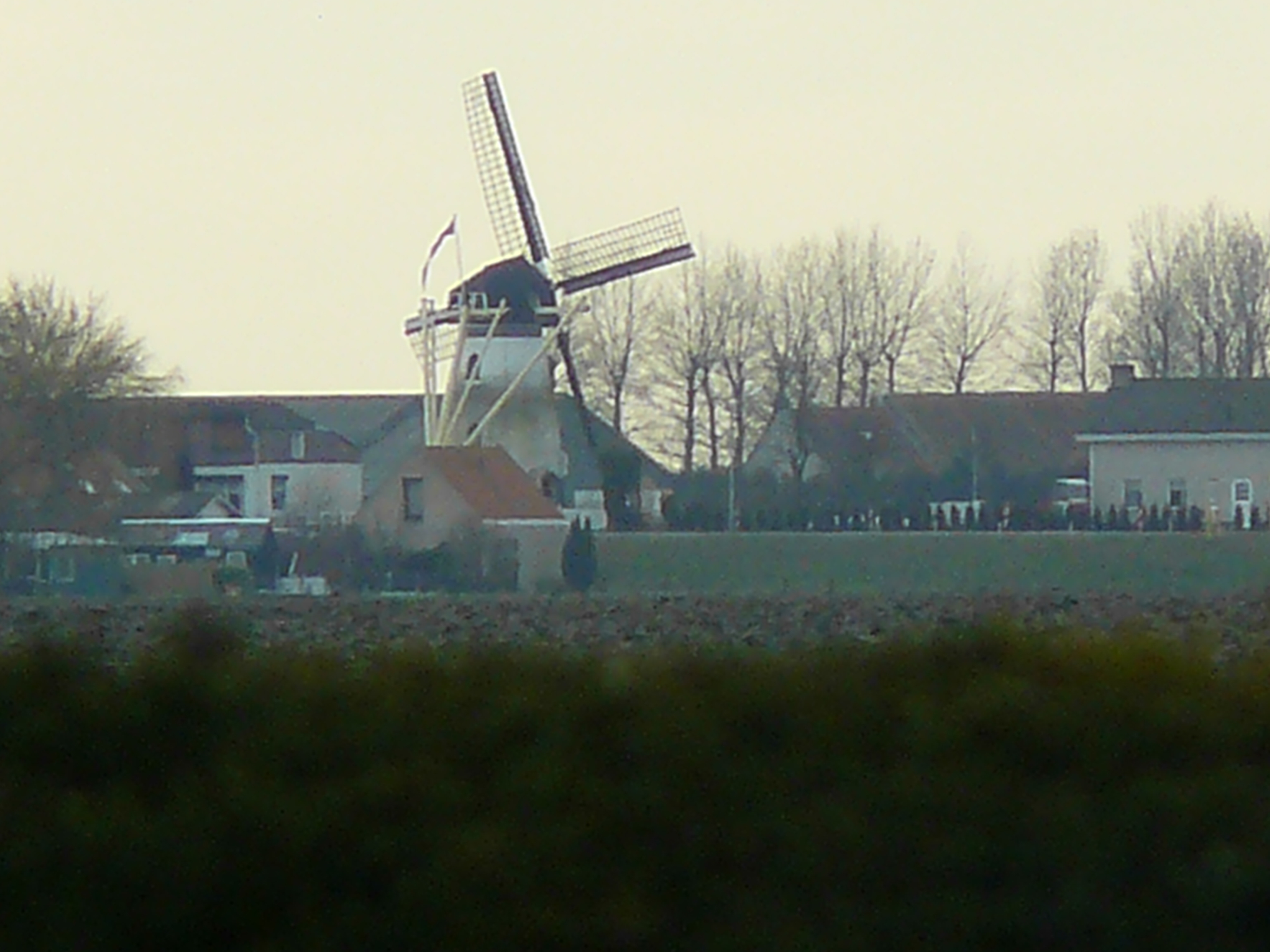 molen