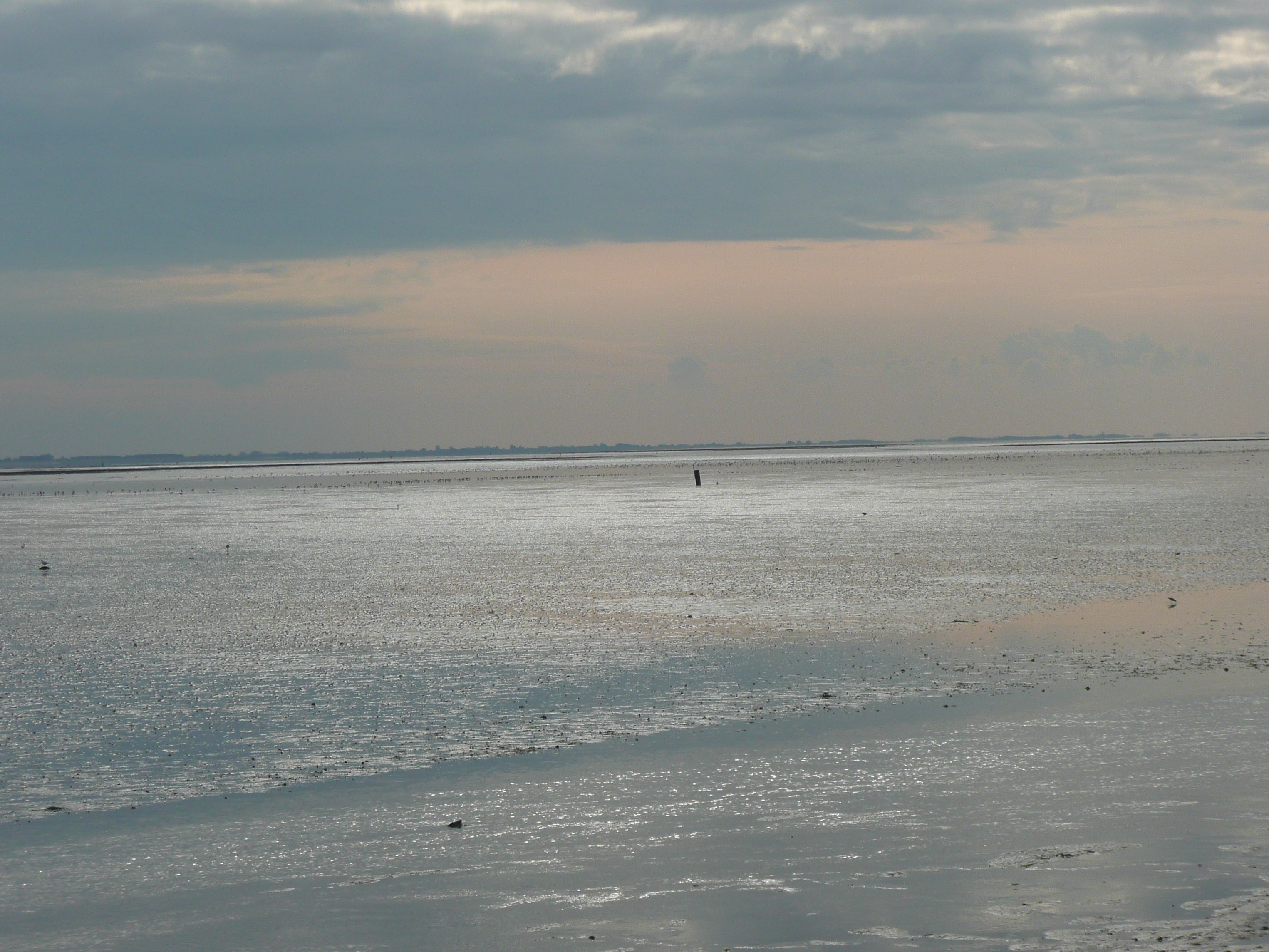 Schoonheid van het Wad