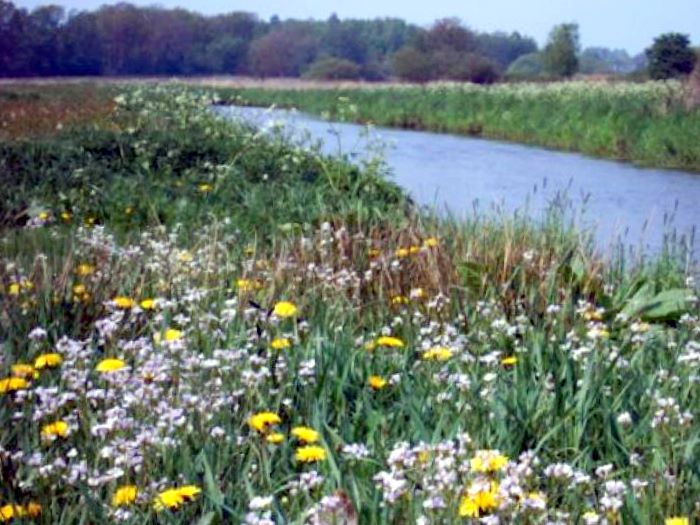 Drentse A op z'n mooist