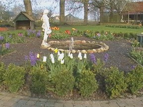 Mijn eigen keukenhof