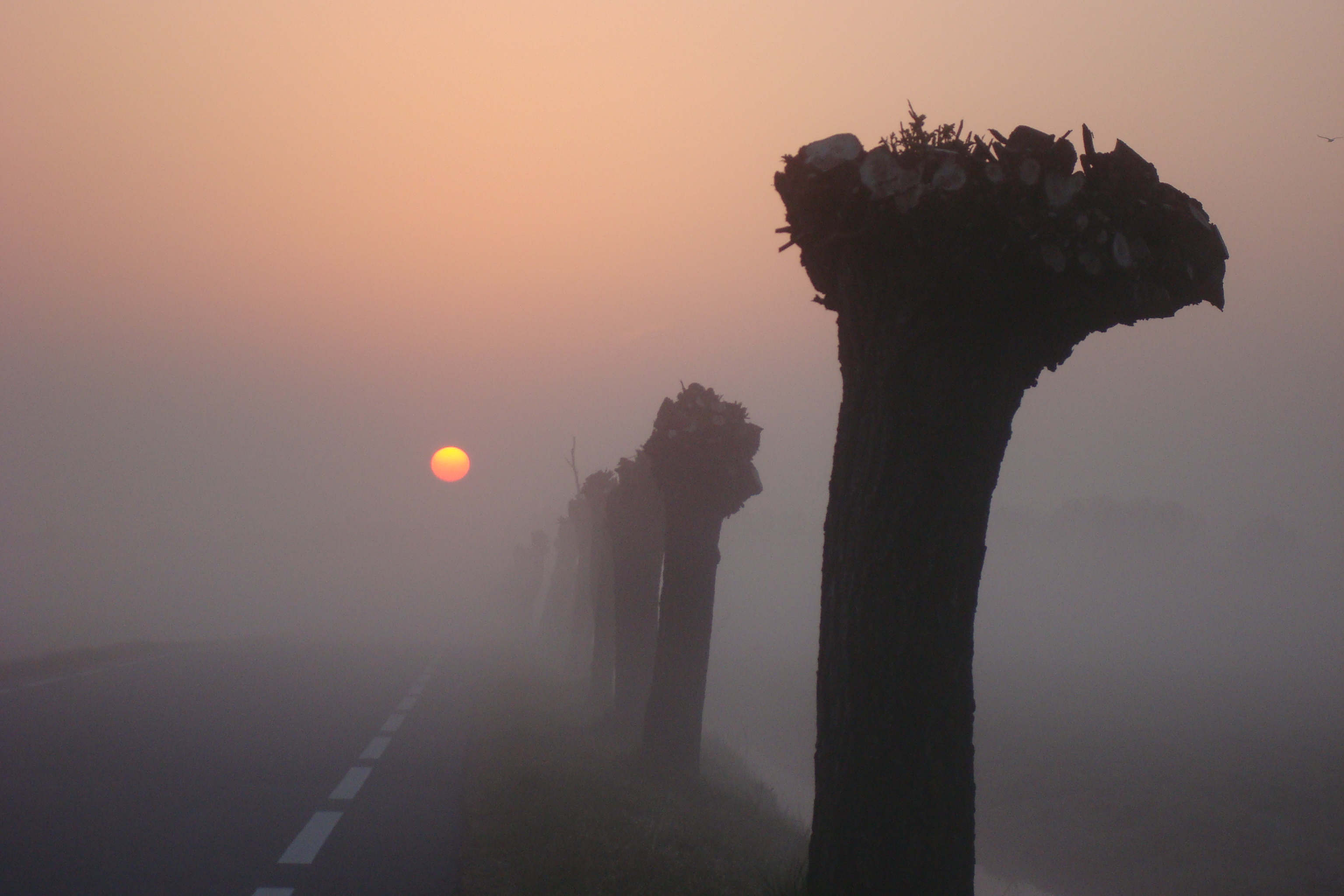 een uurtje vroeger opgestaan...