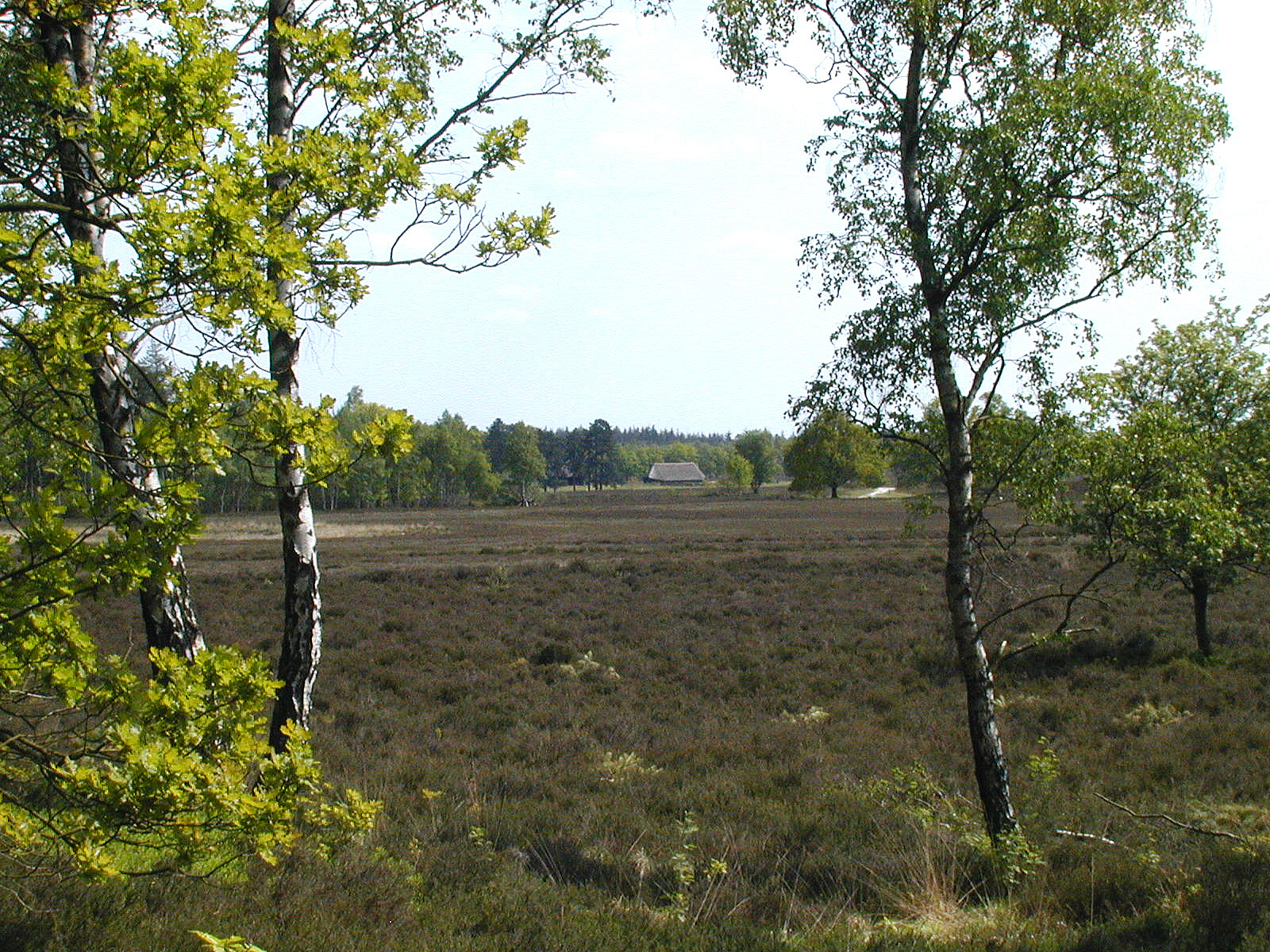 Noord-Veluwe3