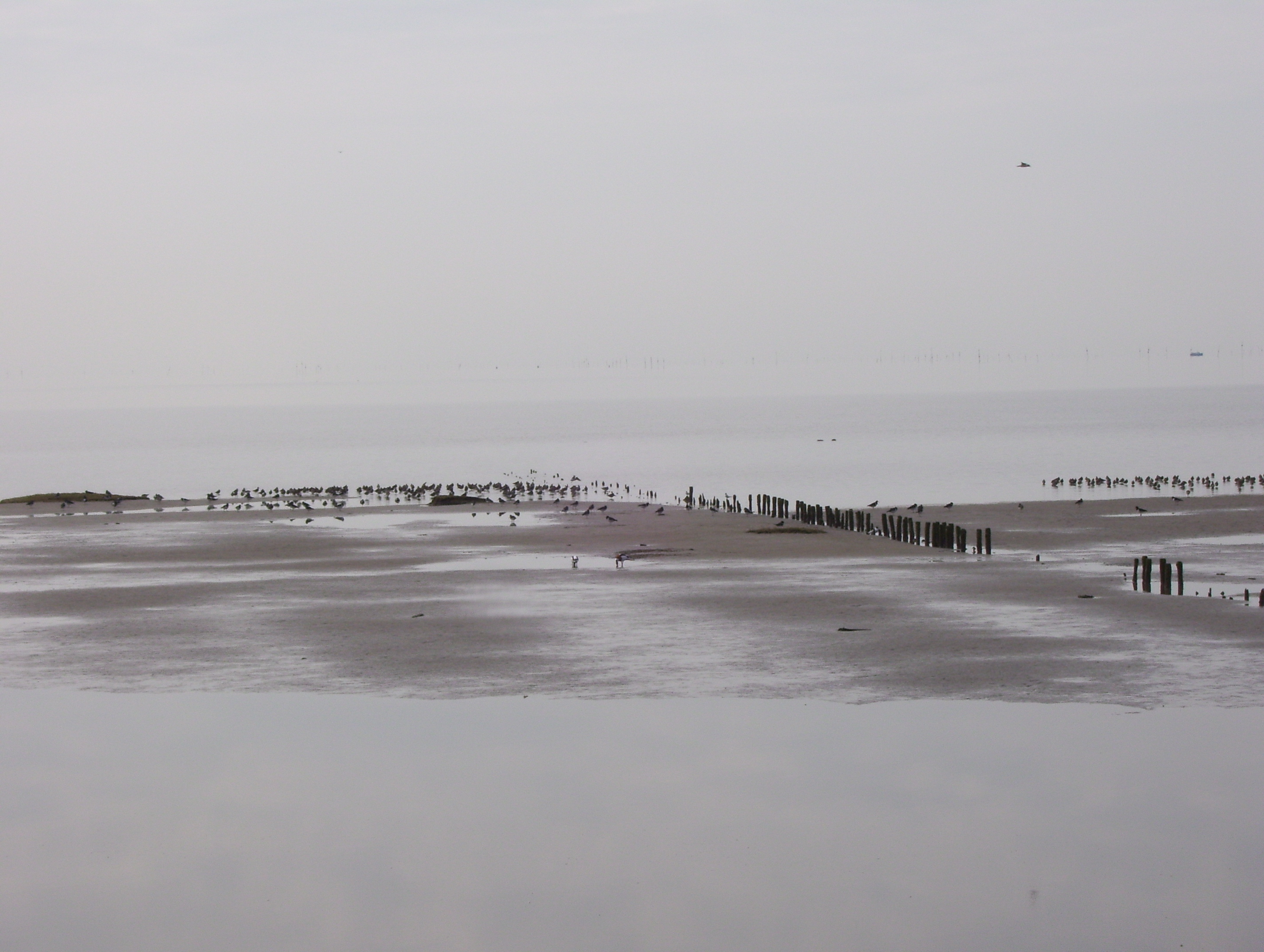 windstil Wad bij Terschelling