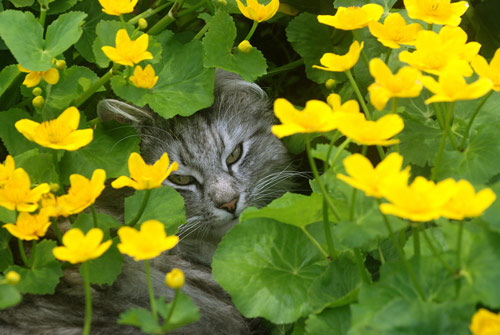 Lekker in de schaduw van de dotters.