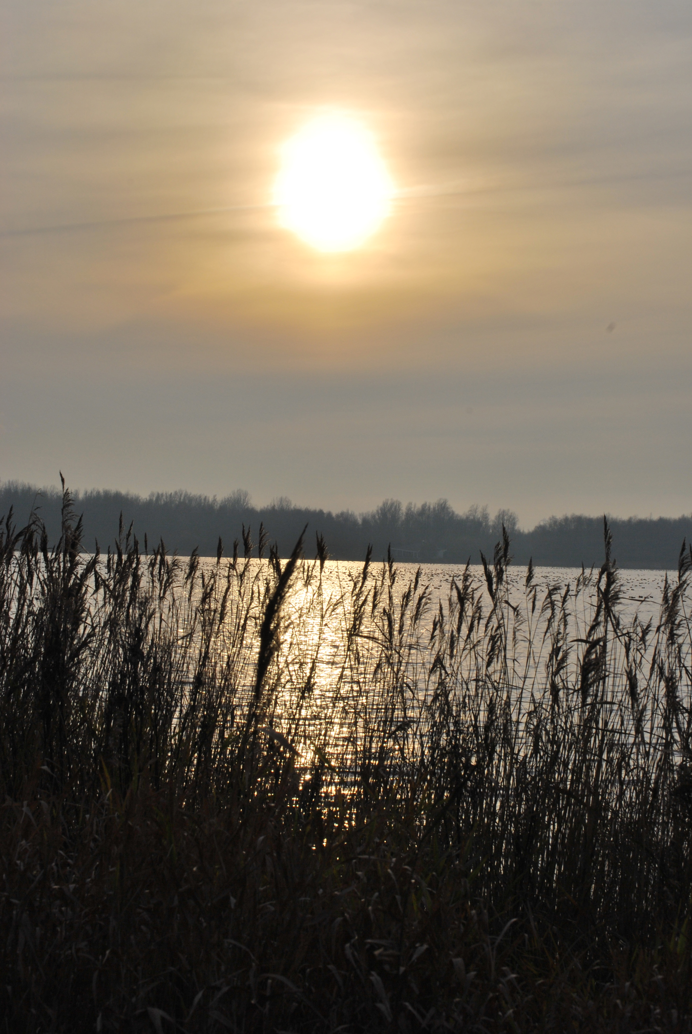 zon ondergang in het twiske