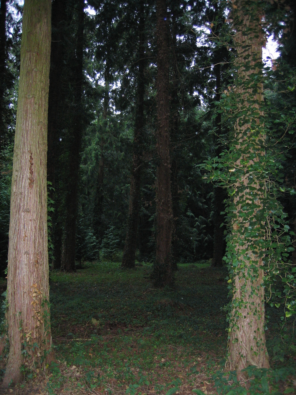 Blik naar het donker