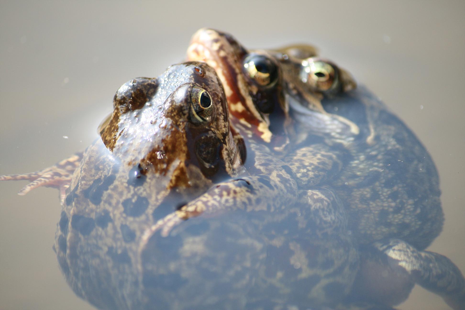 nog zo'n leuke combi