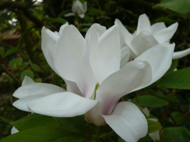 de laatsten op twee mei