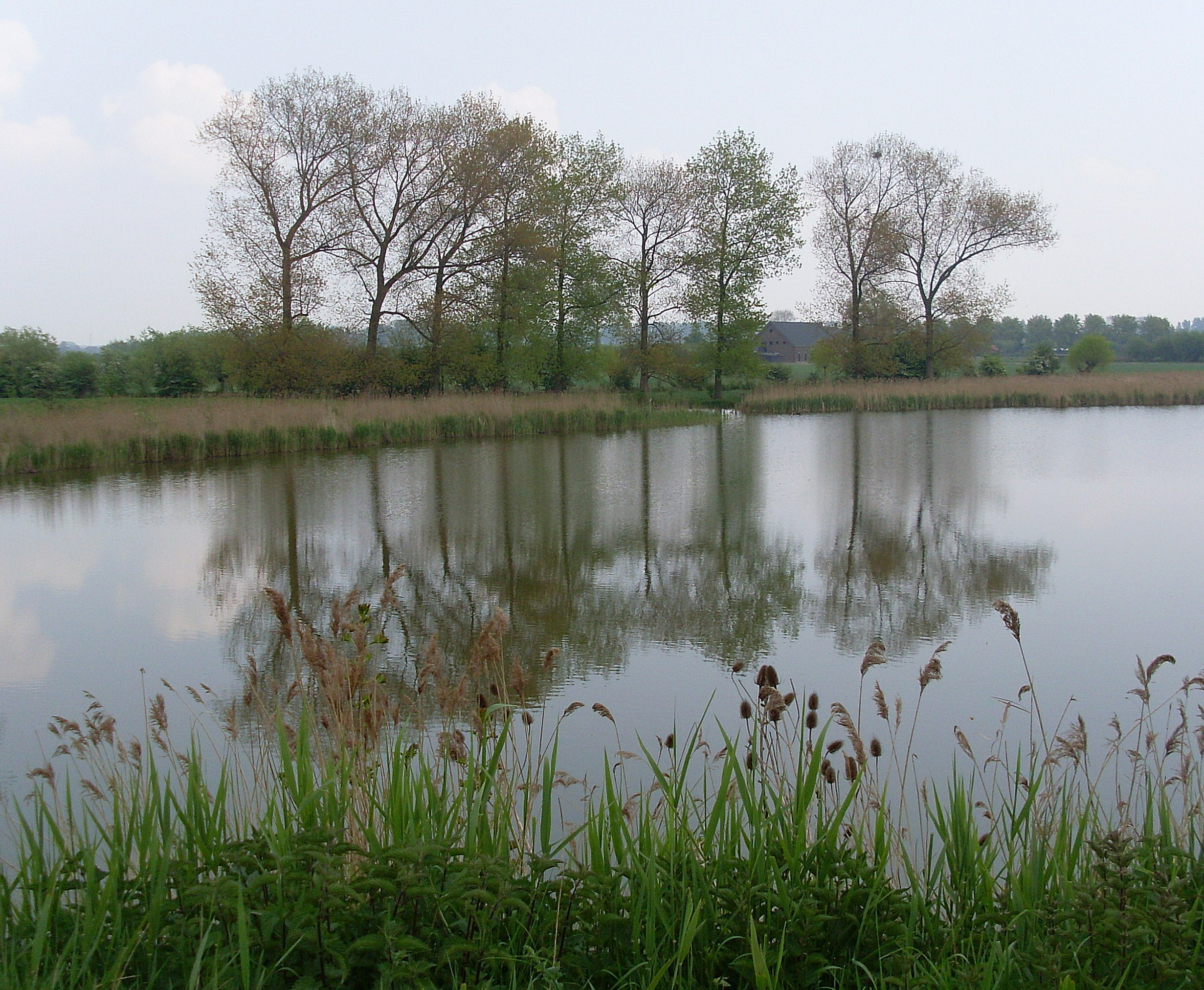 op een mooie lentedag