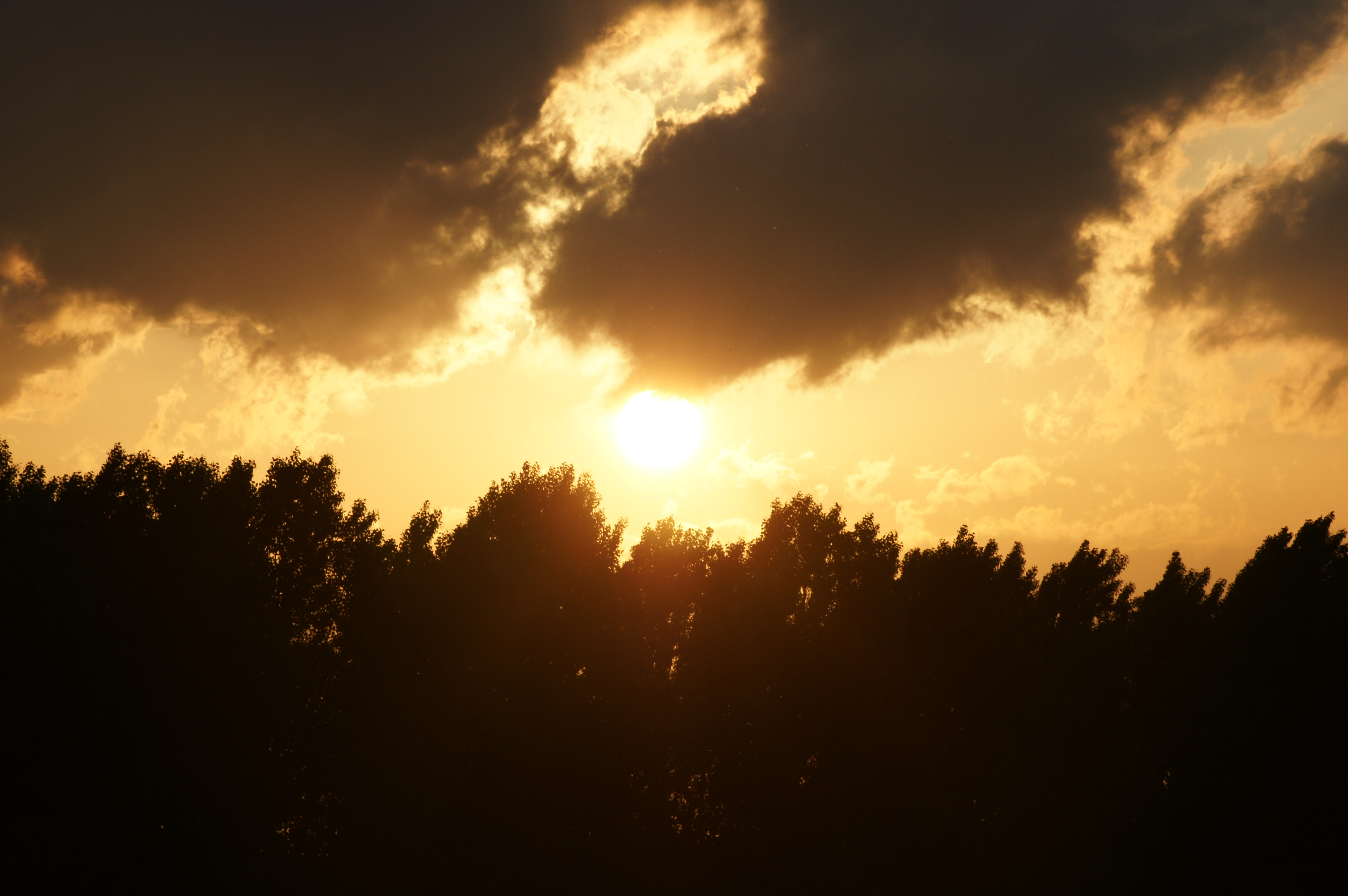 Zonsondergang in mooi Almere