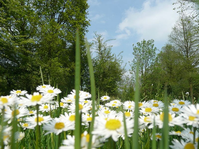 Een en al vrolijkheid