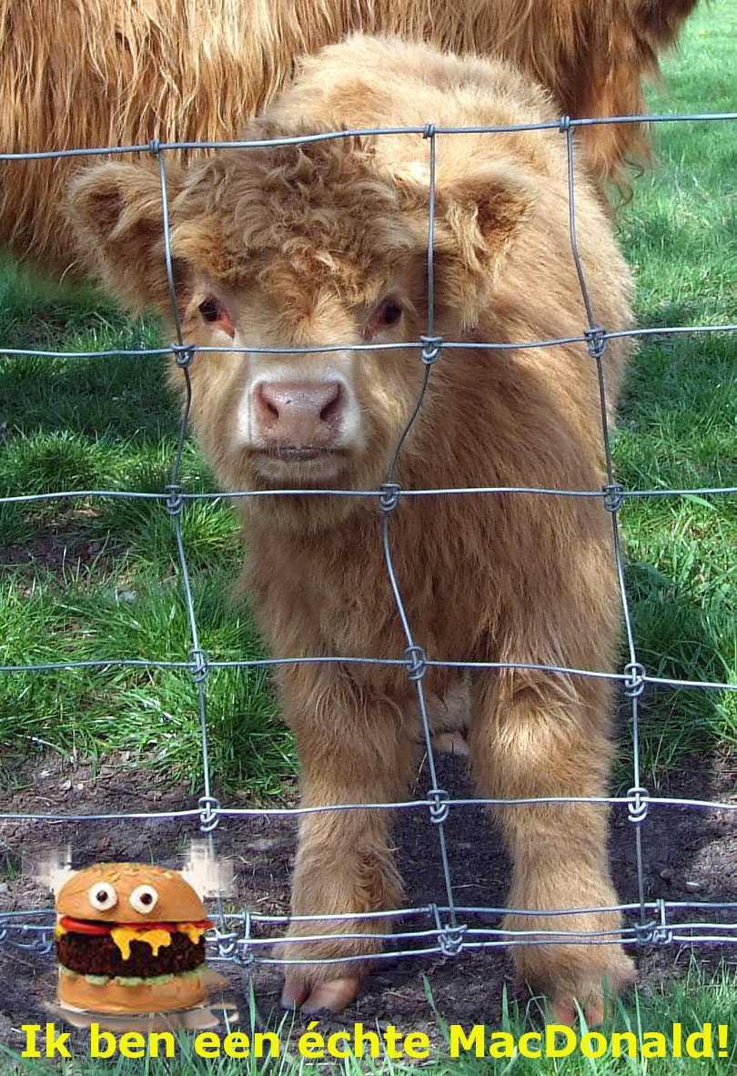 Niet voor vegetariërs