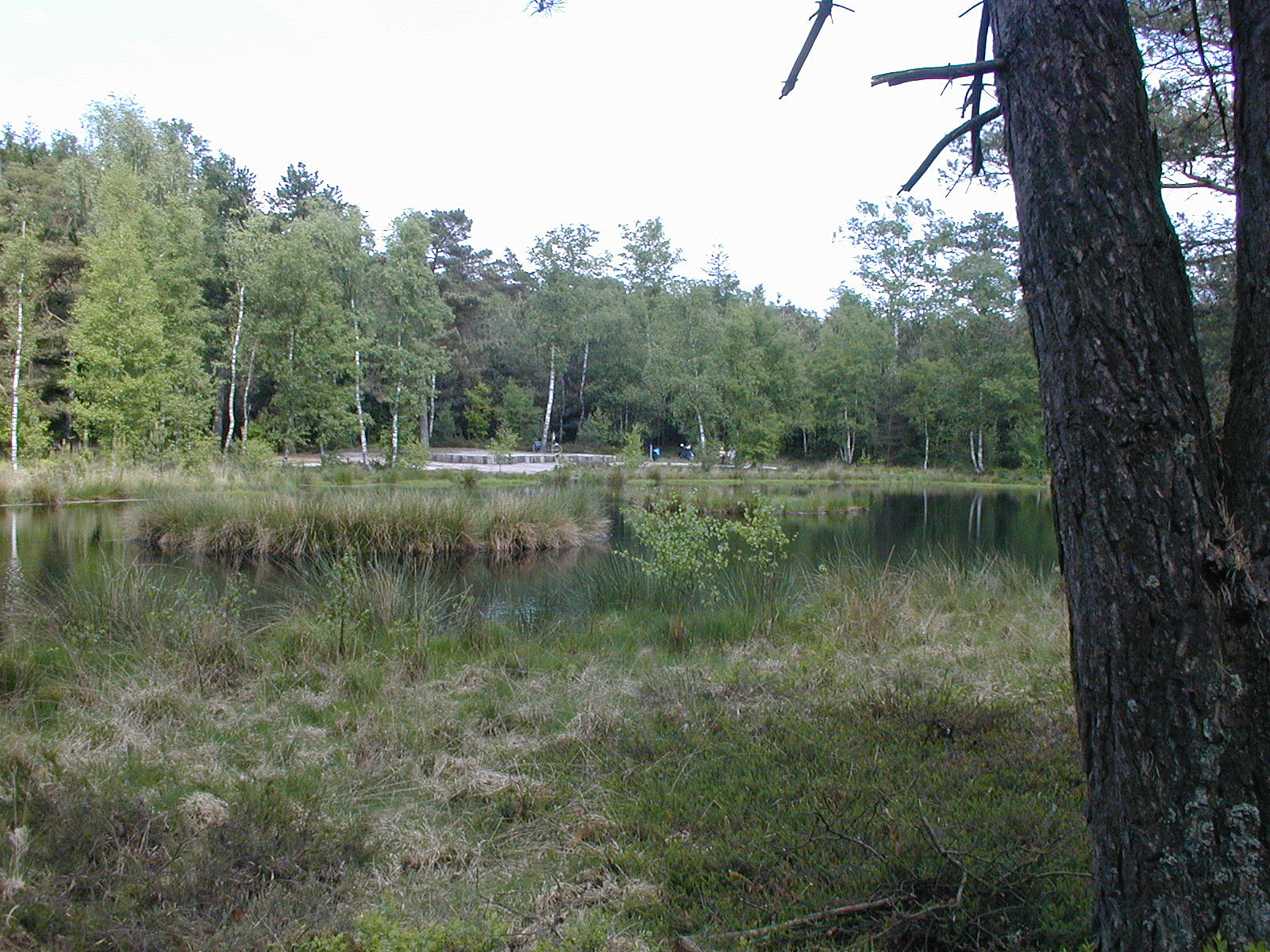 Noord-Veluwe1