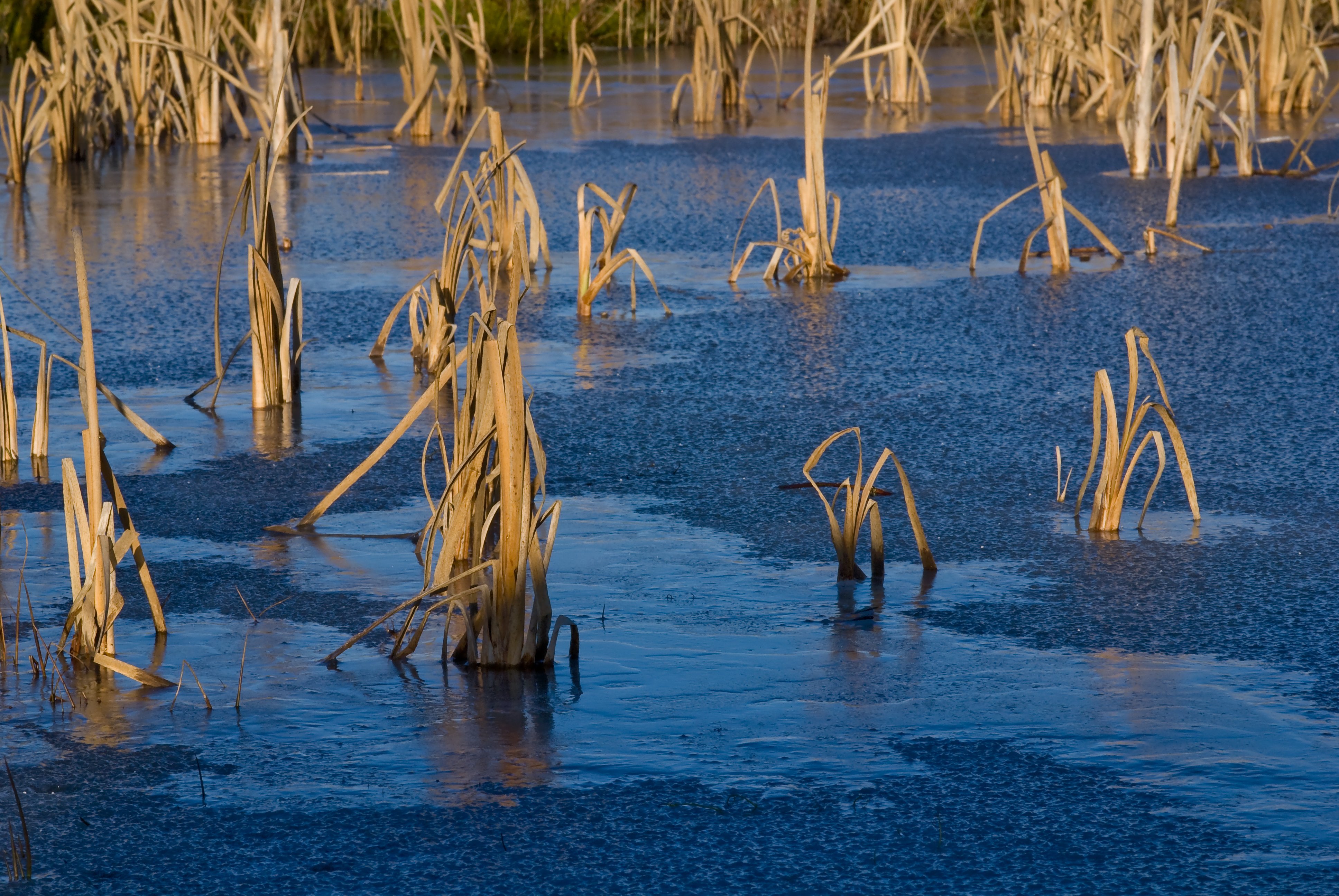 Nostalgie naar de winter????