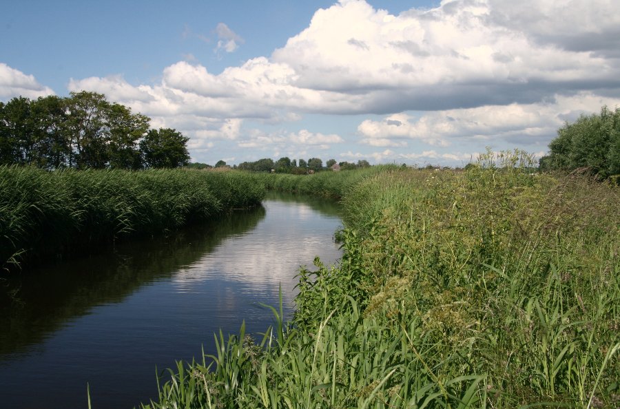 polder Maalwater