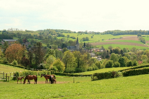 Limburgs landschap