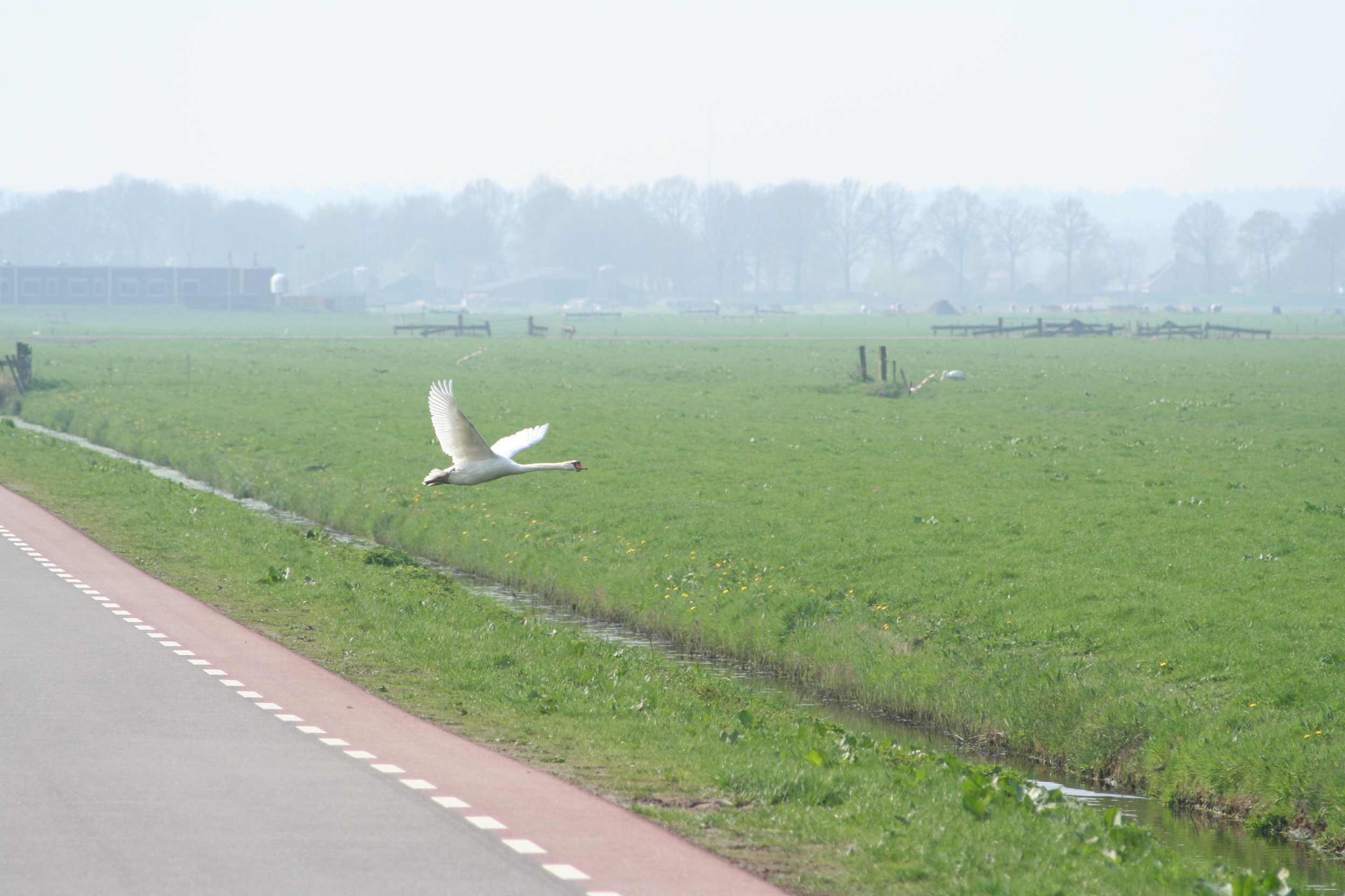 Links rechts links ok