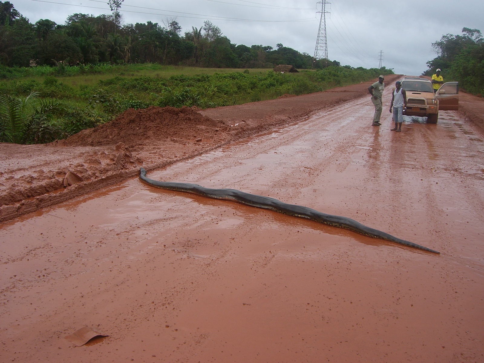 Zo maar over de weg[Suriname]