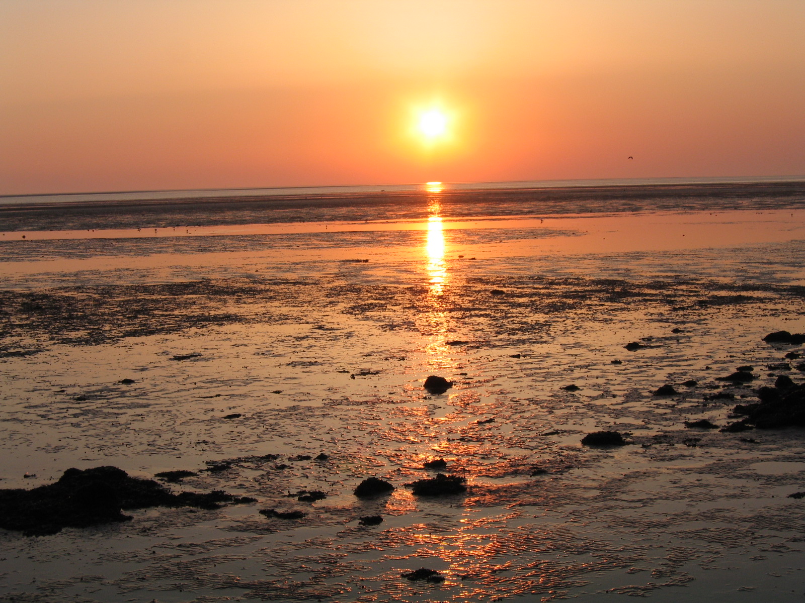 Zonsopgang 