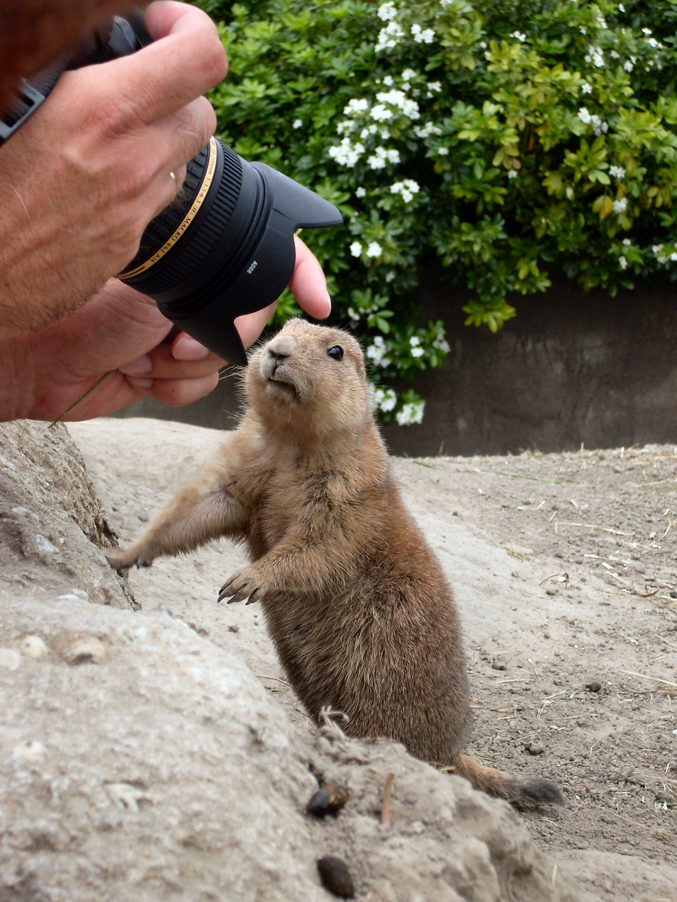 Pas maar op.....ik bijt zo in je lens.