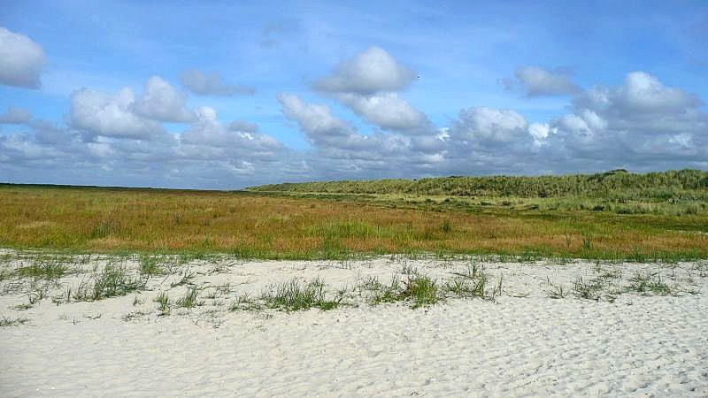 groene strand van schiermonnikoog