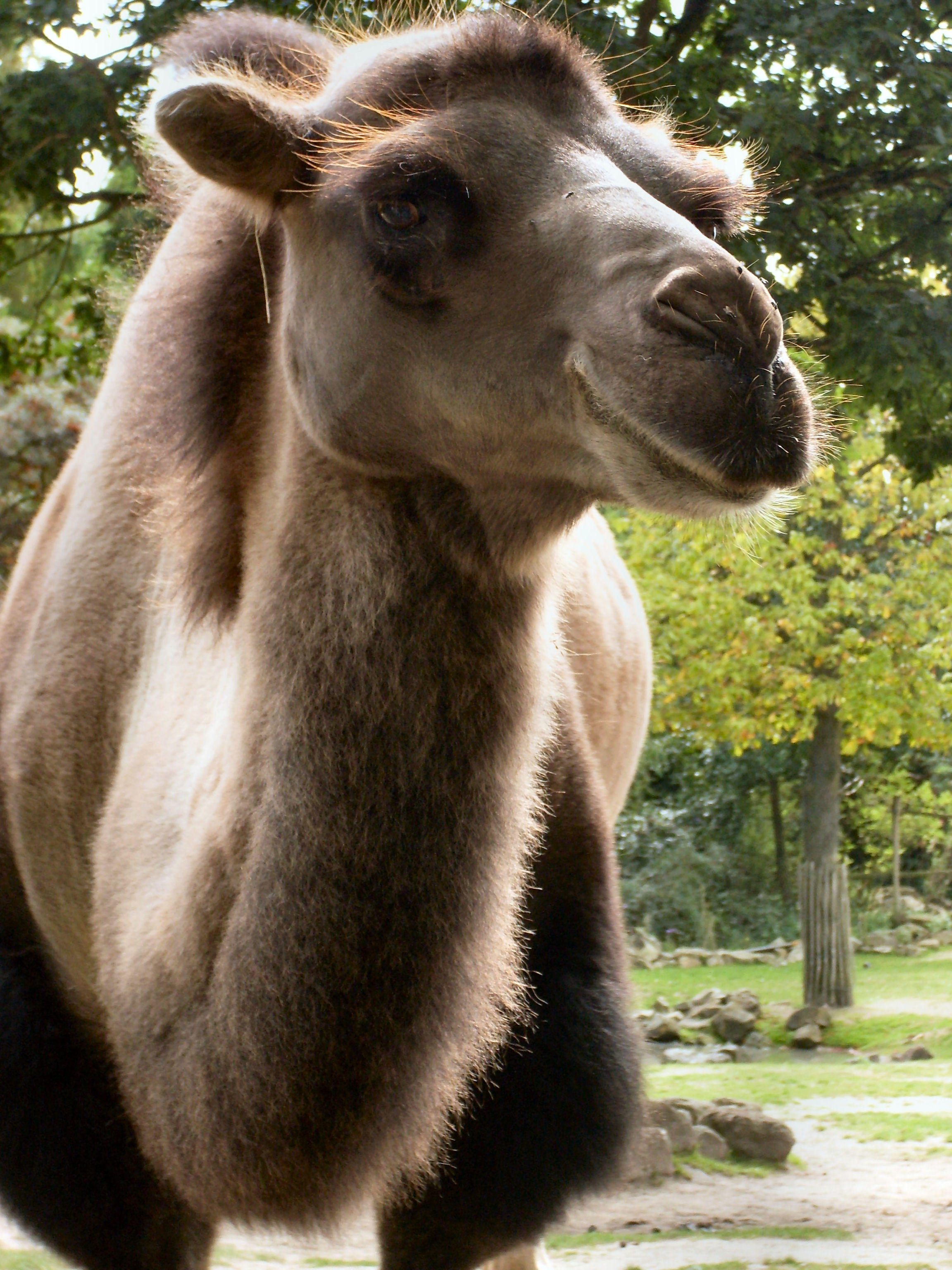 Sta ik er nu goed op....