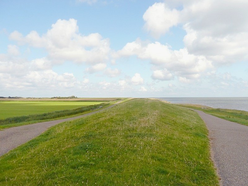 veel variatie in landschap op Schiermonnikoog