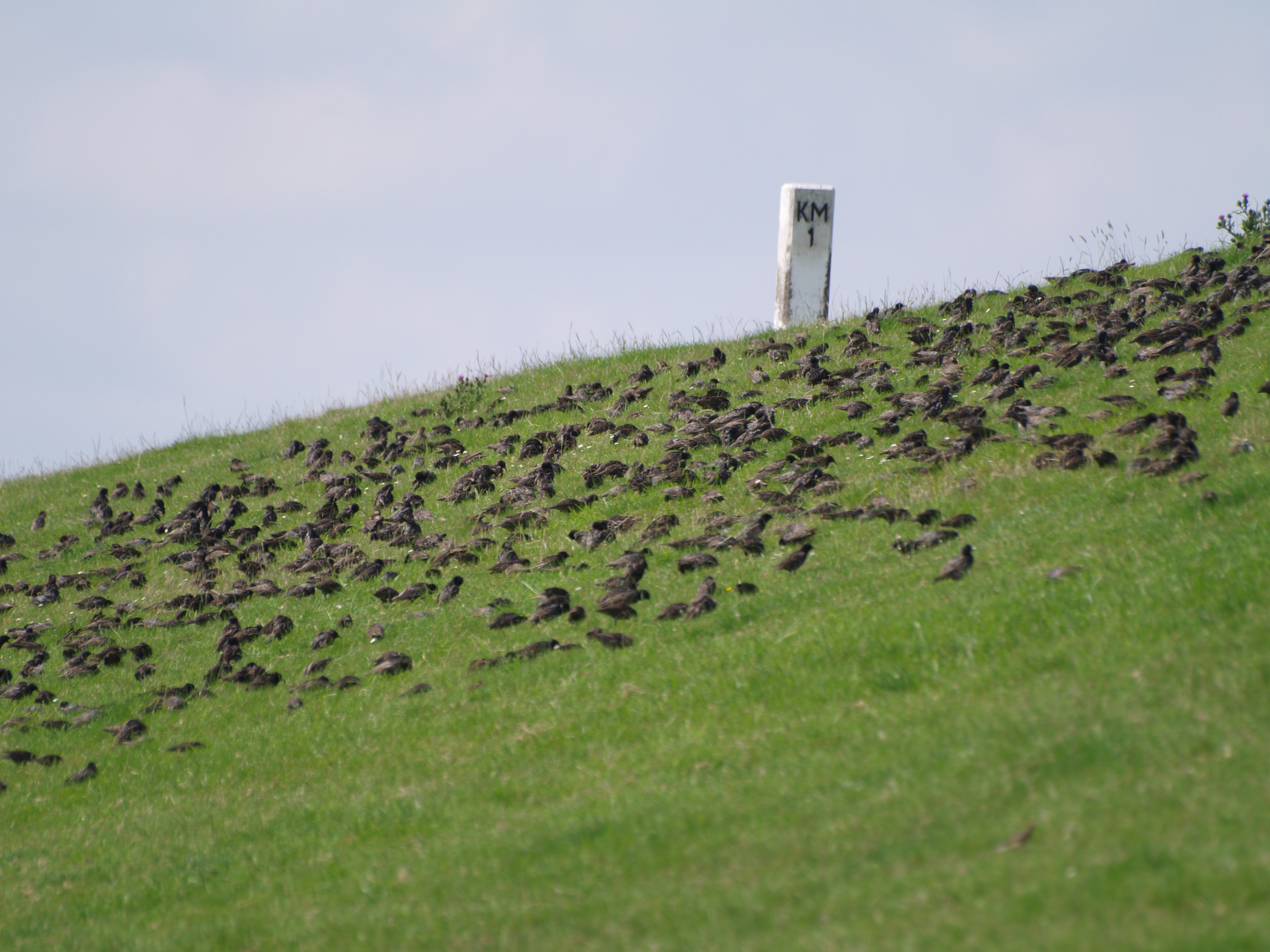 groepperen voor de lange reis.