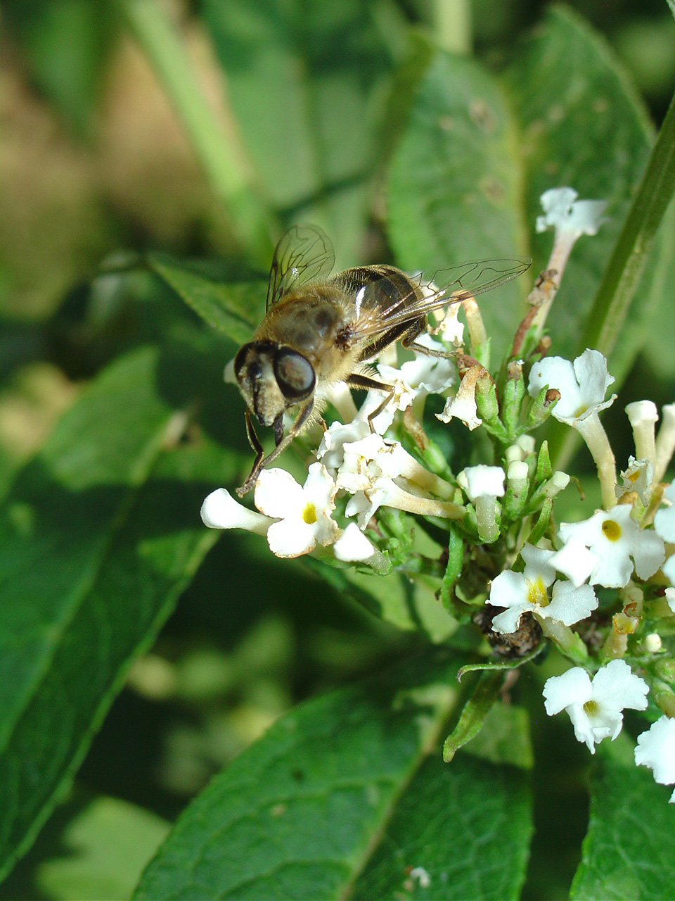 time for a little something....