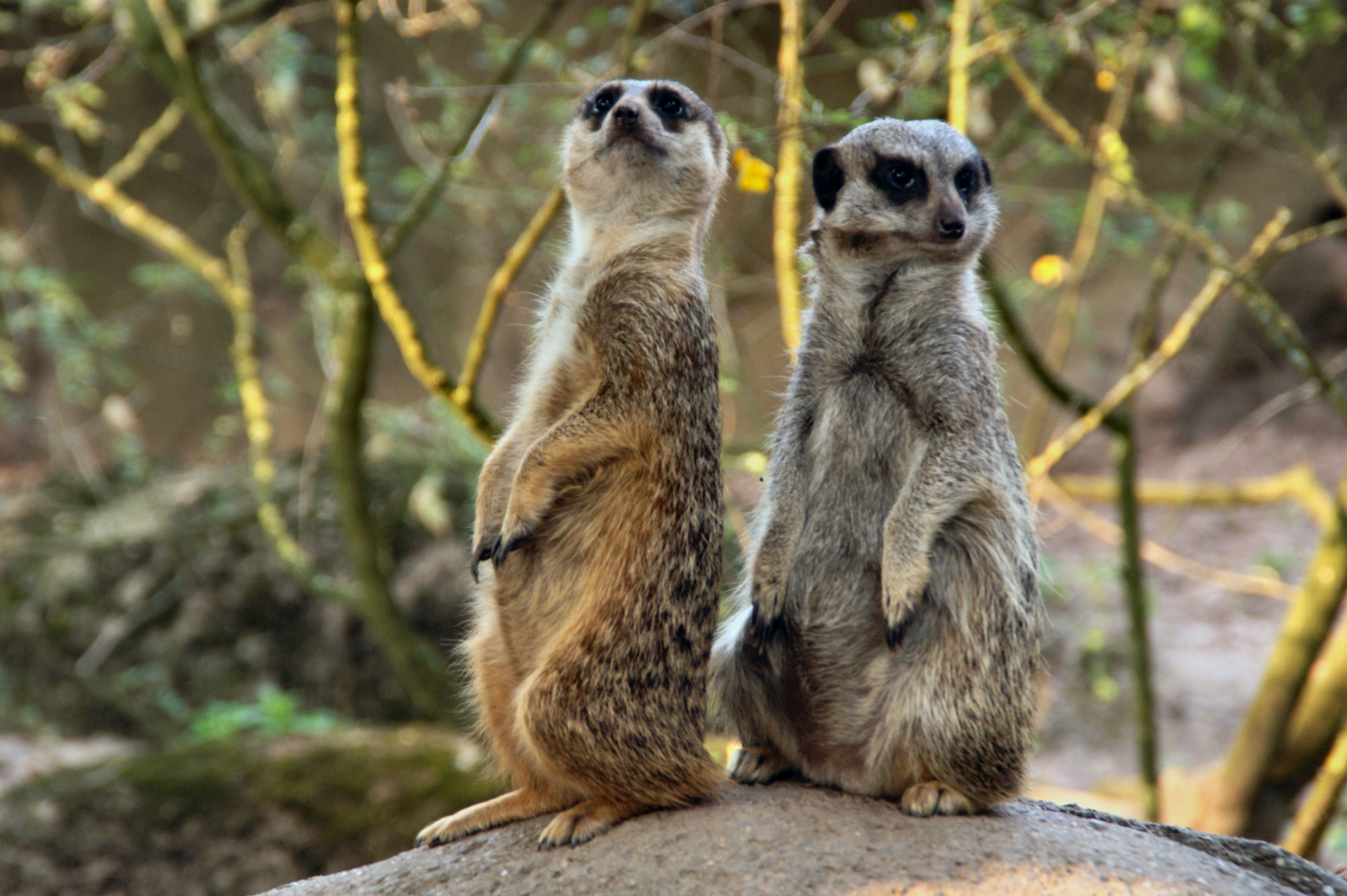 Staan we er goed op??