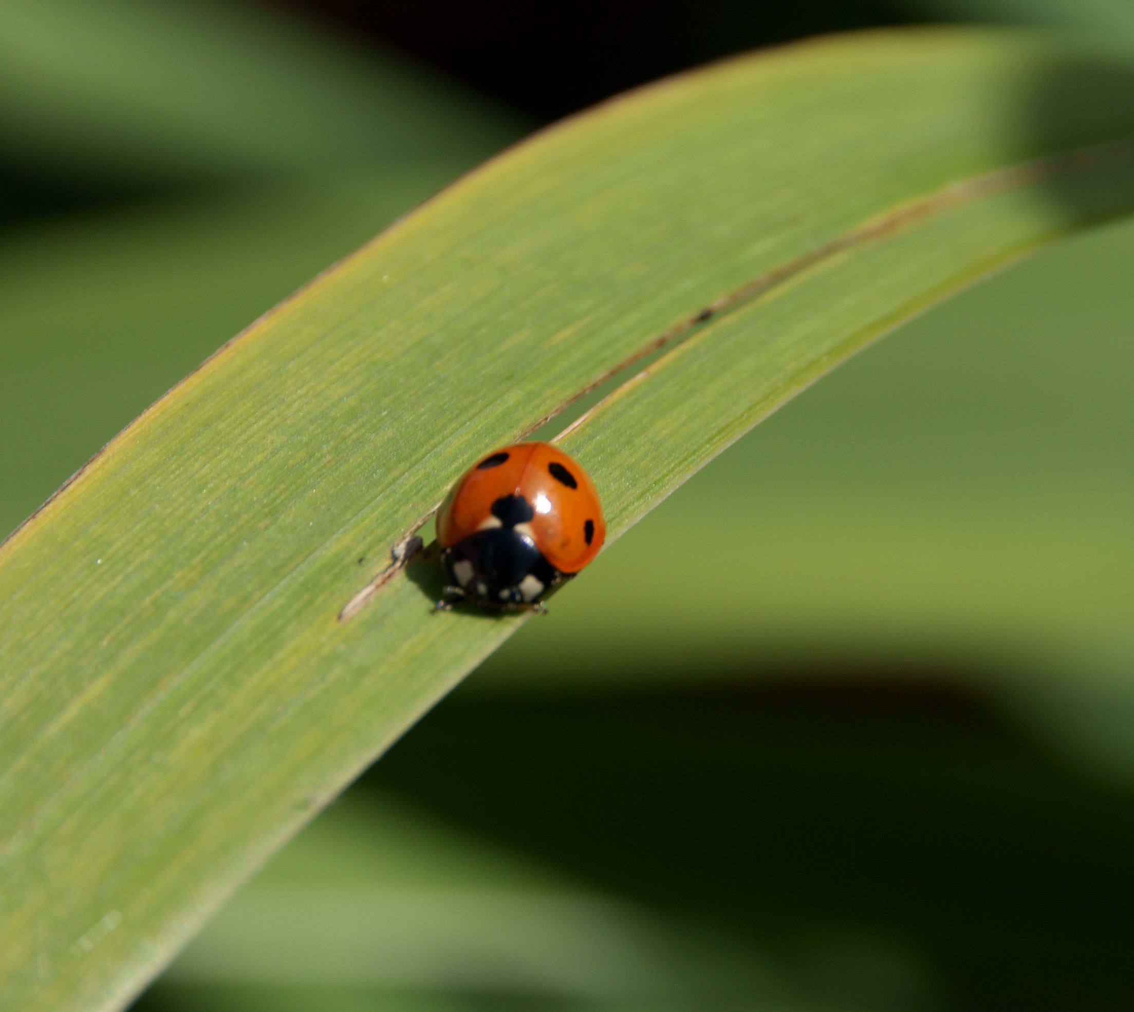 Nog een stukje te gaan...