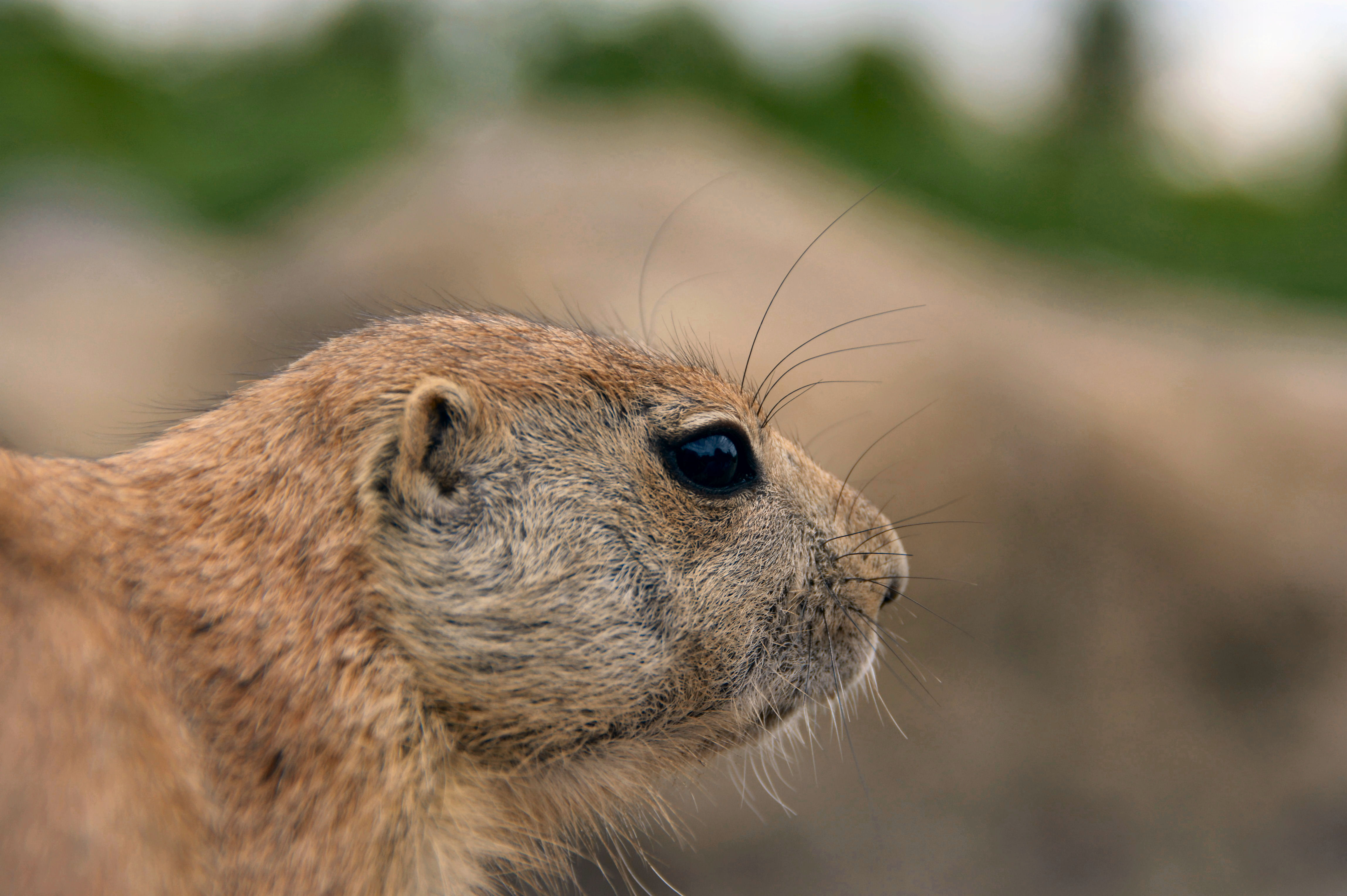 Diep in gedachte......