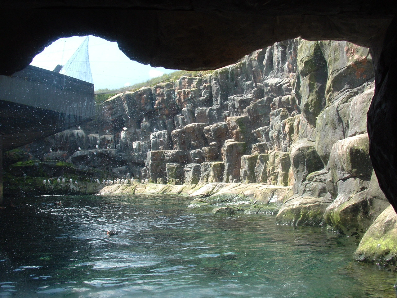 Aquarium in Blijdorp