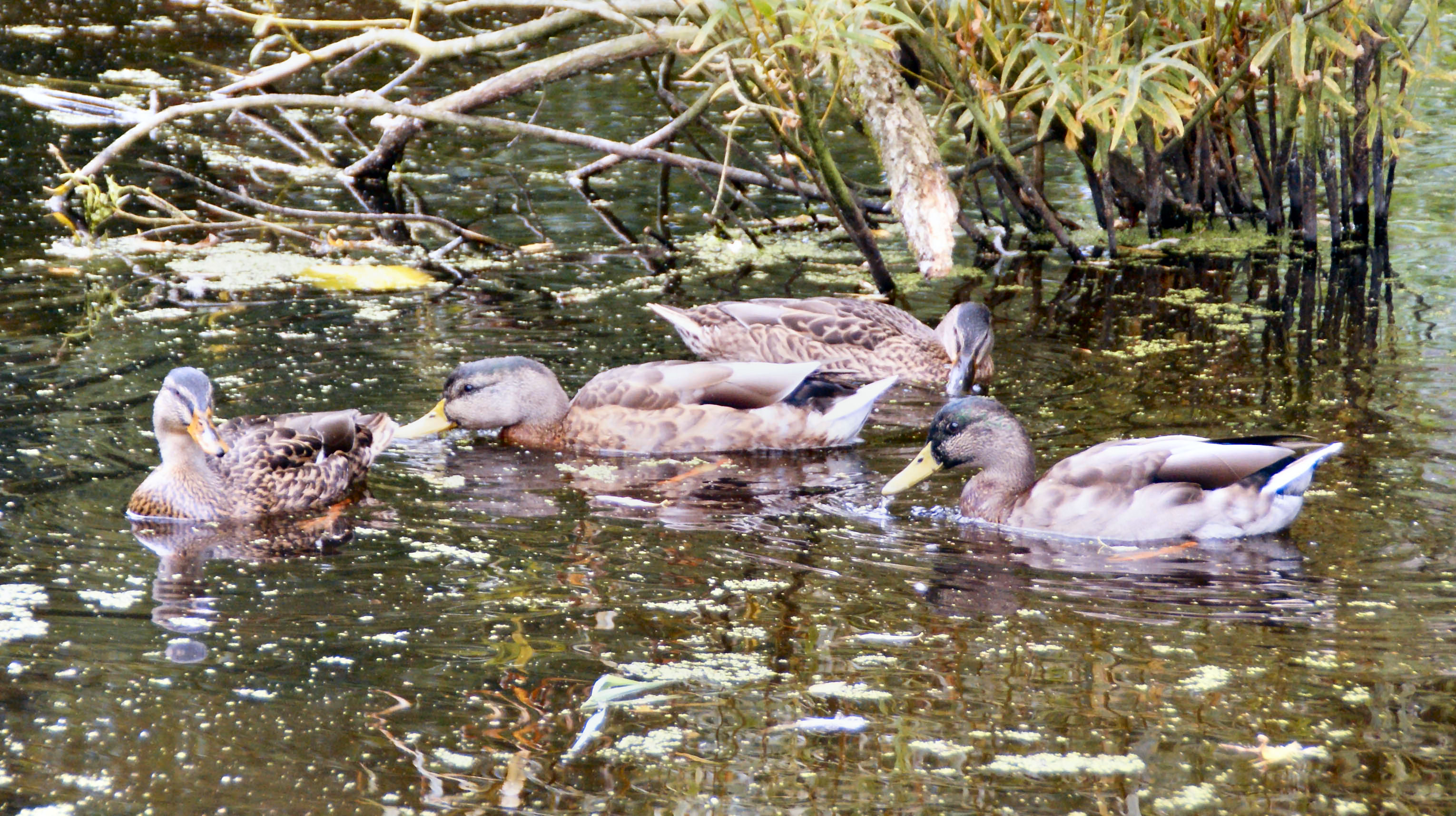 Nog eventjes genieten van het weer