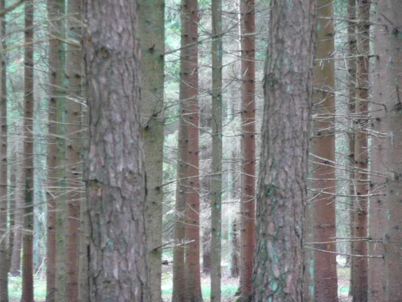 ook de herfst kent mooie dagen