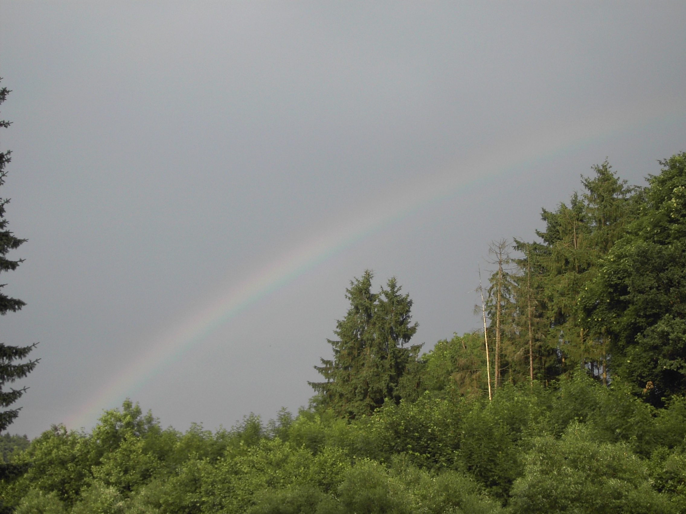 regenboogje