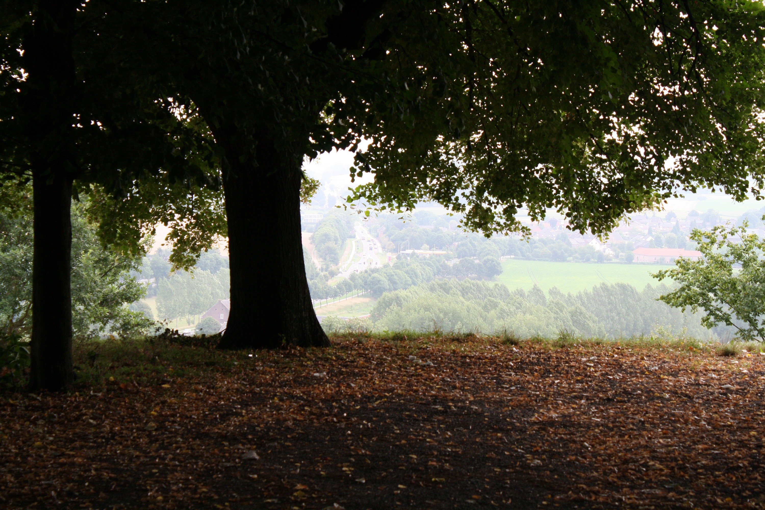 Schaduwrijk plekje in Gulpen