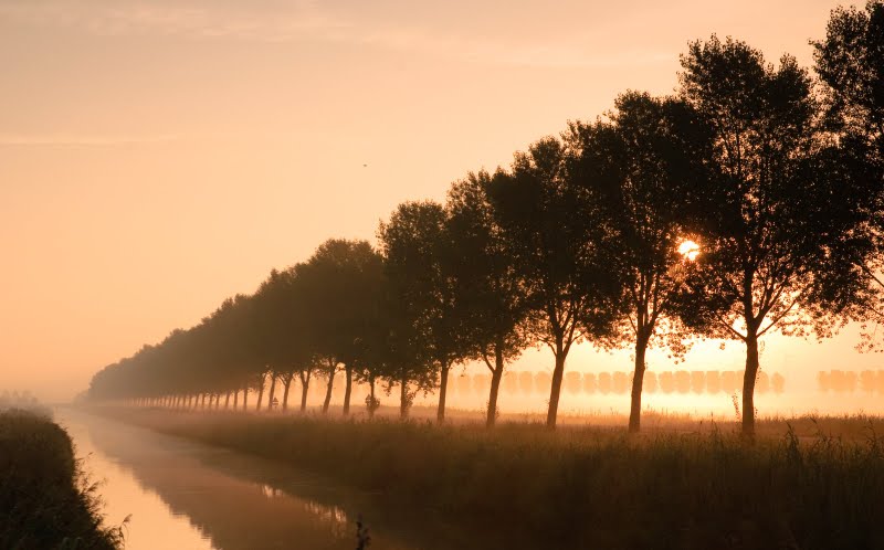 ochtend in flevoland