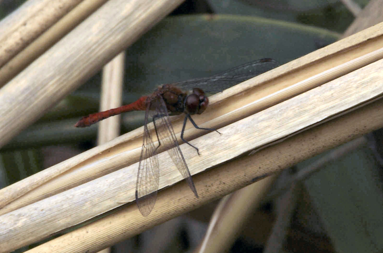 Zo eventjes uitrusten